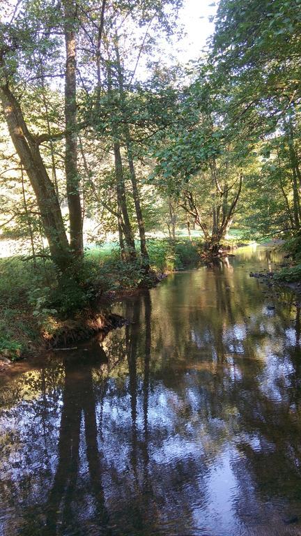 Ferienwohnung Sayntalblick Caan エクステリア 写真