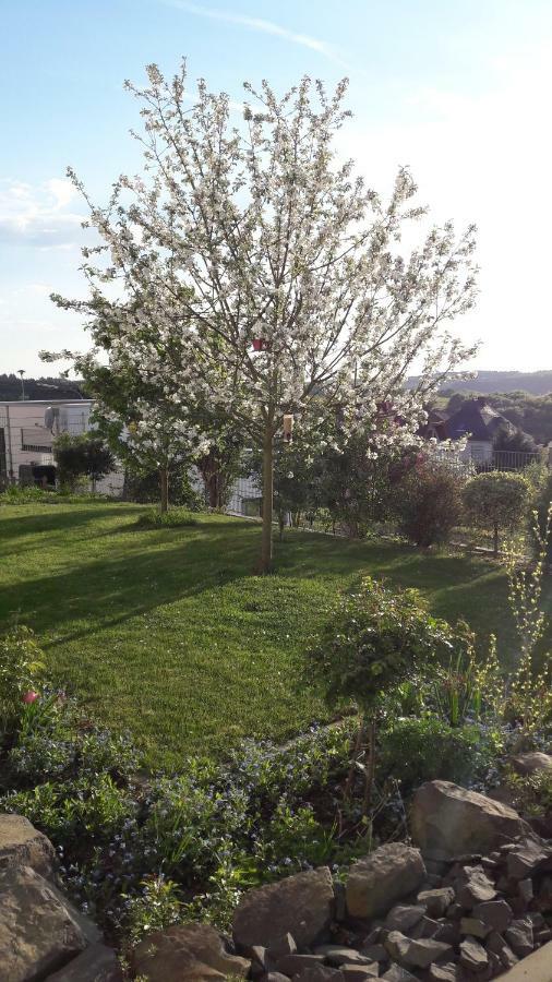 Ferienwohnung Sayntalblick Caan エクステリア 写真
