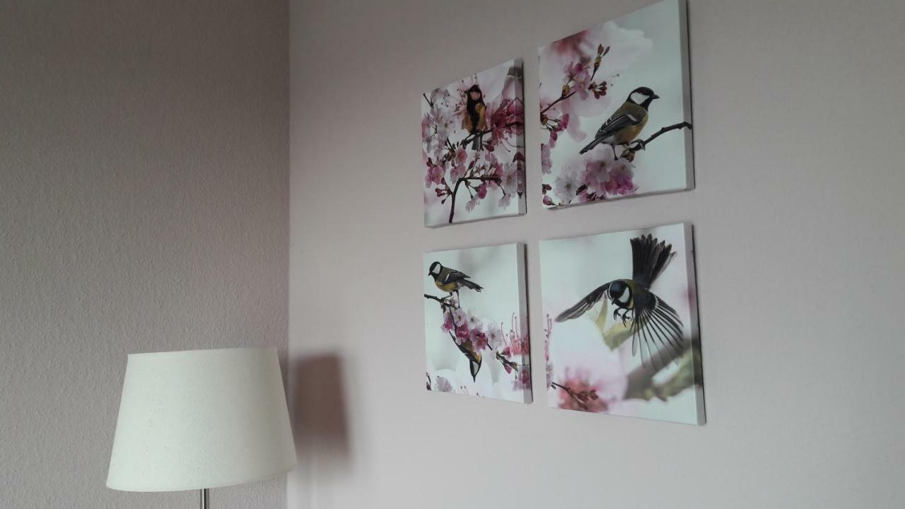 Ferienwohnung Sayntalblick Caan エクステリア 写真